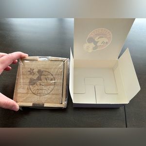 Disneyworld Annual Passholder coasters